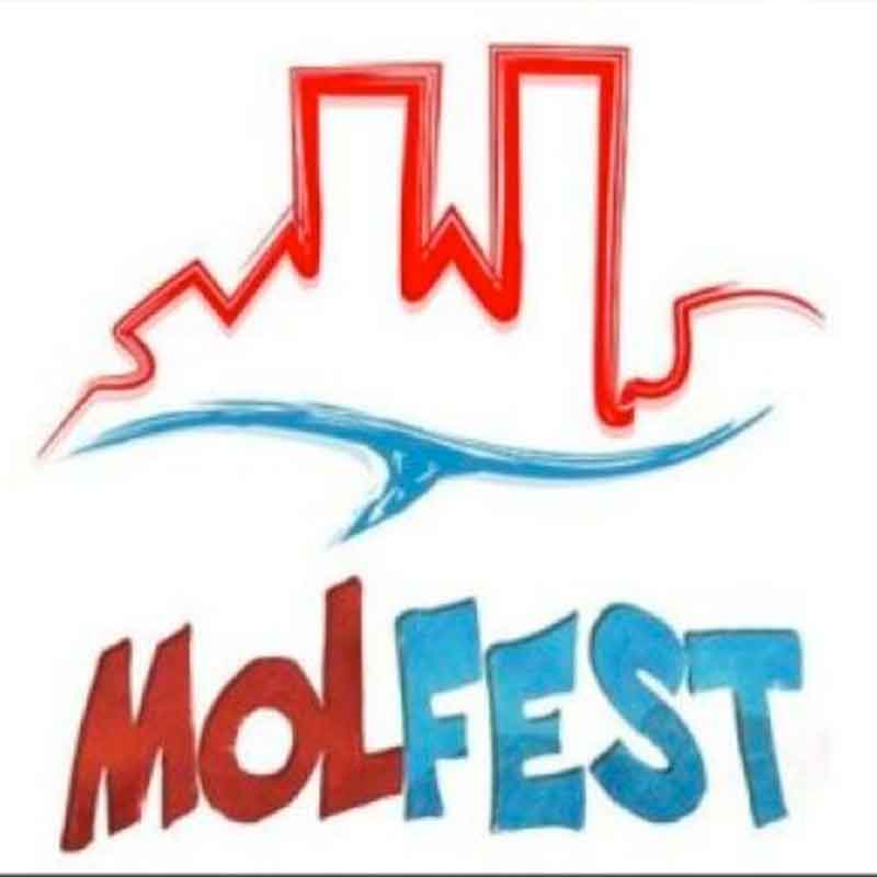 molfest 2024
