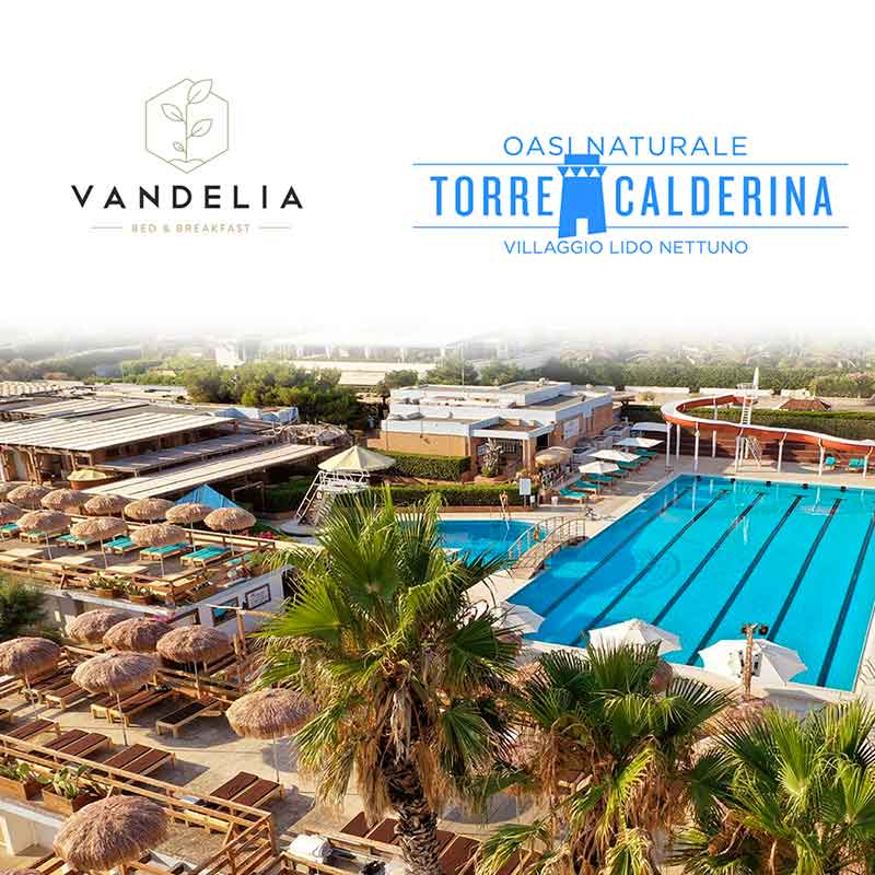 offerta lido nettuno